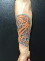 /album/estrellas-/img-9578-jpg/