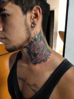 /album/estrellas-/img-9395-jpg/